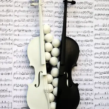 Odete & Odile (Swan Lake), an assemblage artwork by Janice Thwaites